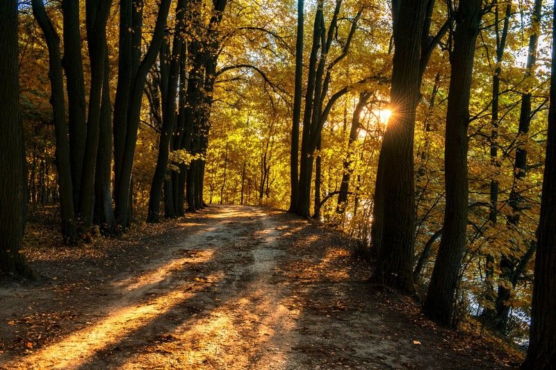 осень,природа,пейзаж,парк,закат  Осенний закатphoto preview