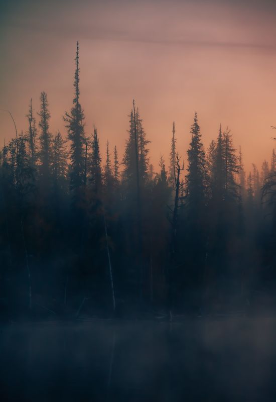 Осень на севереphoto preview