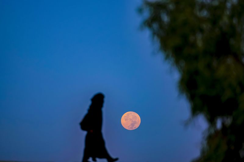 #القمر #المشاية القمر الازرق photo preview