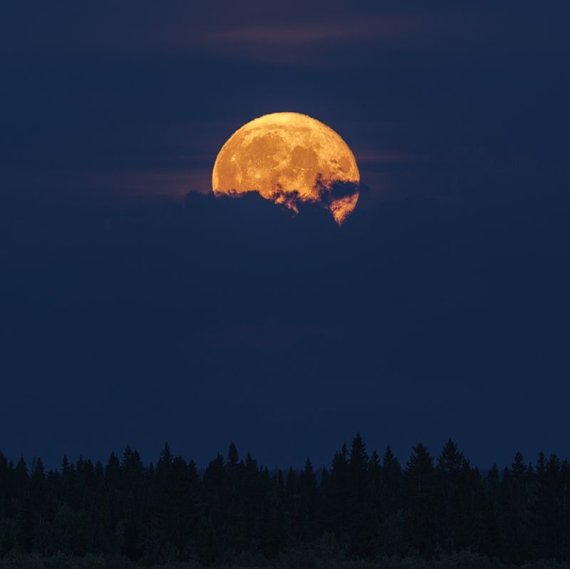 печора, коми, луна Восход Луныphoto preview