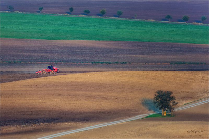 южная моравия,пейзаж,hils,линии,полевые работы,south moravian,lines,свет,czech,осень,чехия,трактор,landscapes,nature,agriculture,rural // ГУСЕНИЦА // фото превью