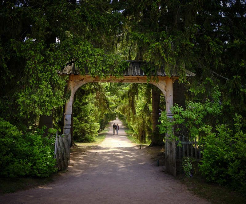 По алее.Пушкиногрьеphoto preview