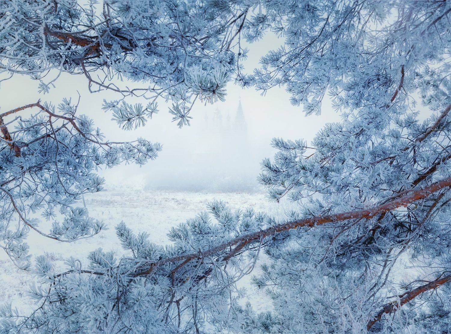 Автор: Юлия Терехина , Юлия Терехина