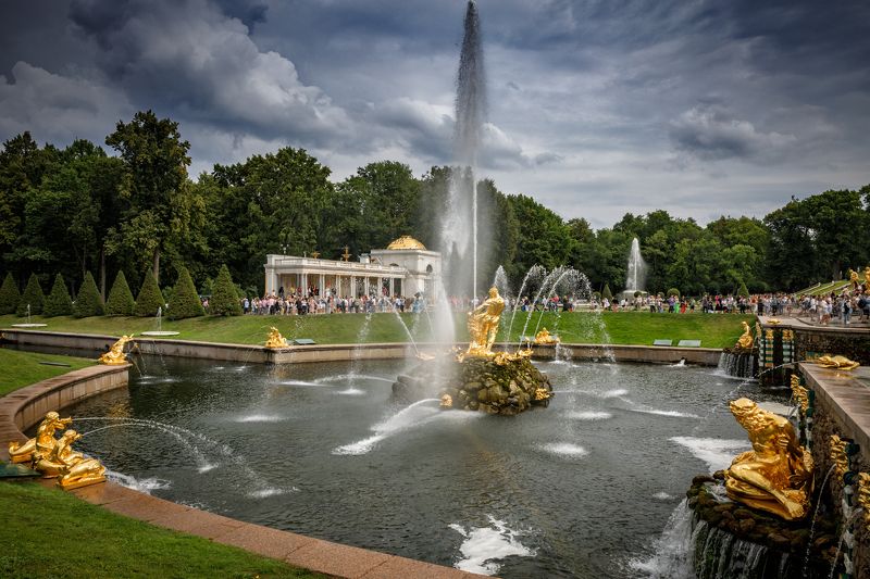 * * * фото превью