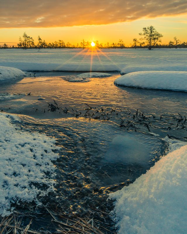 #harjumaa, #kõnnusuursoo, #eesti, #estonia, #estoniabogs, #eestirabad, #bog, #bogs, #nature, #loodus, #eestiloodus, #ilusadeestipaigad, #visitestonia, #terviserajad, #hikingtrails, #sunrise, #sunrisephotography, #sunrisephotos, #sunrise_sunset_photogroup ***photo preview