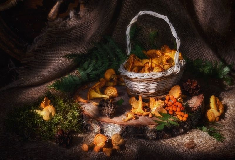 #осень #лисички #грибы #корзинка Корзинка с лисичкамиphoto preview