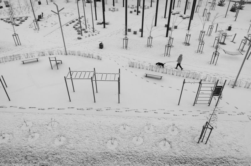 Прогулка фото превью