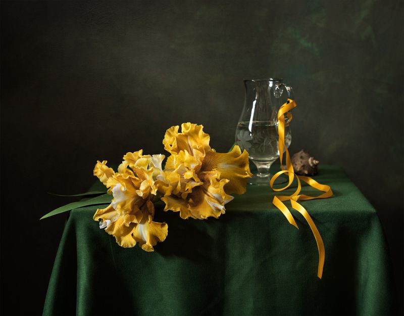 натюрморт, цветы, ирисы Ирисphoto preview