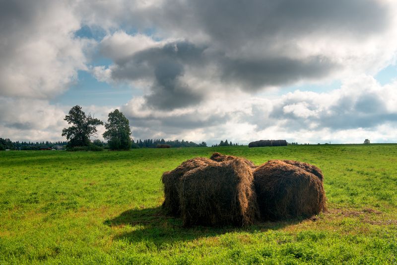Утро после ночного ненастьяphoto preview