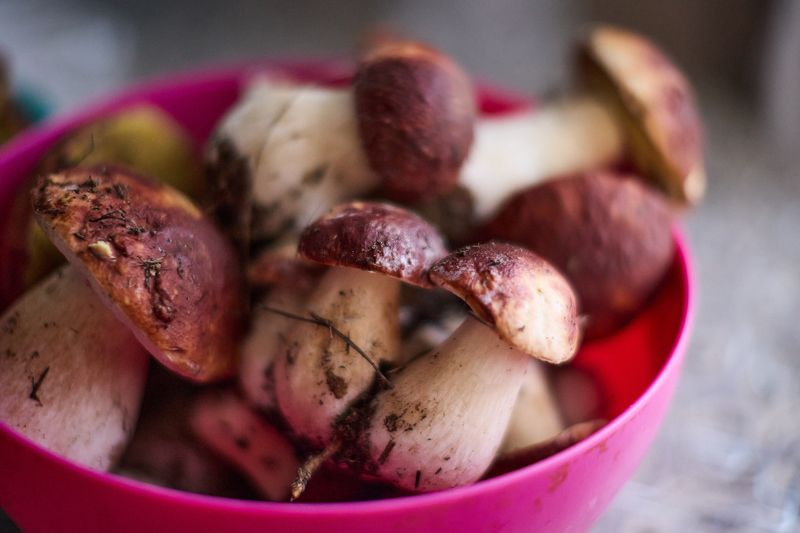 Тихо наохотились...photo preview