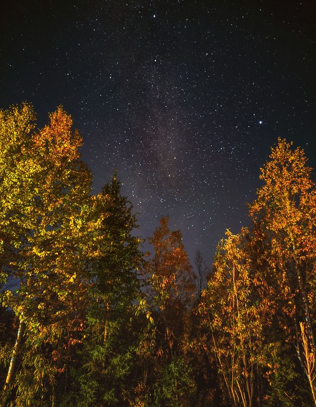 печора, коми, осень Северная ночь золотой осениphoto preview