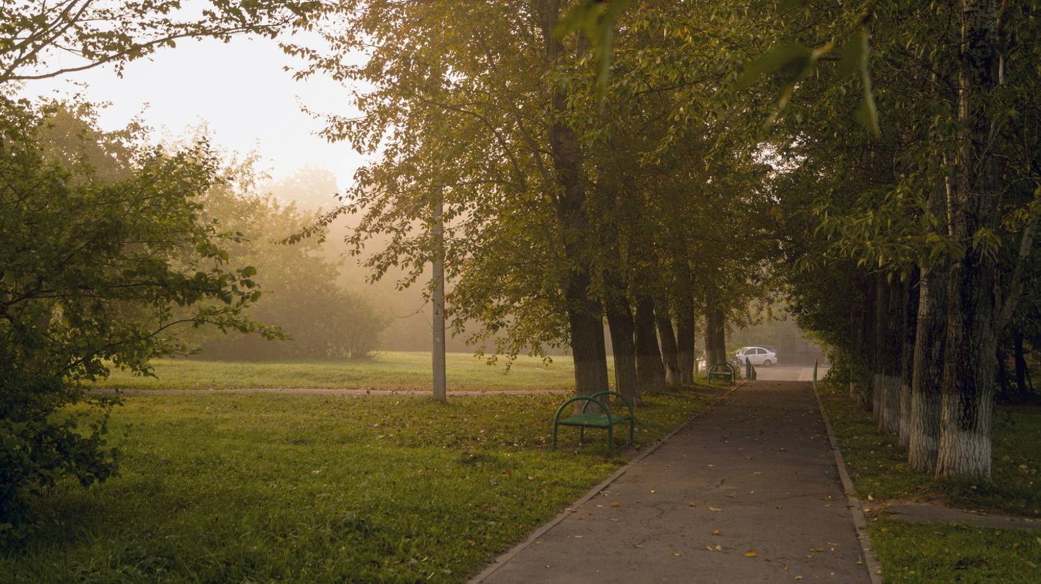 , Сушкевич Светлана