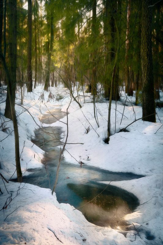 зима, лес В зимнем лесу фото превью