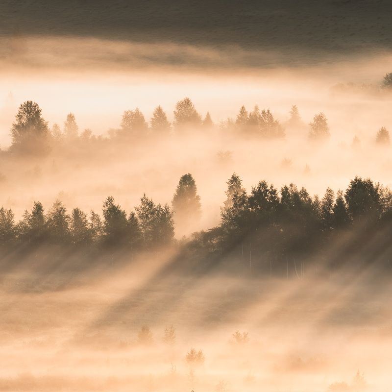 В первых лучах Хакасии…. In the first rays of Khakassia…photo preview