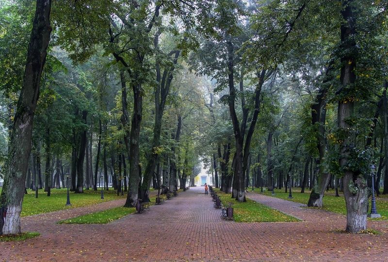 туманными аллеямиphoto preview