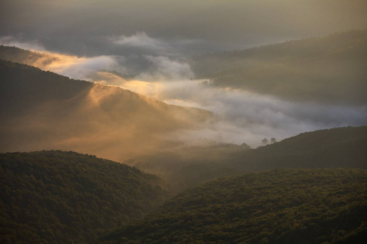Автор: Mirosław Pruchnicki , Mirosław Pruchnicki