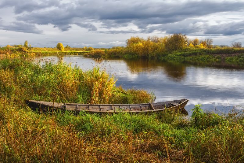 В прибрежных заросляхphoto preview