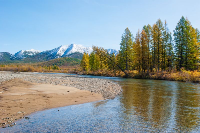 Малтанphoto preview