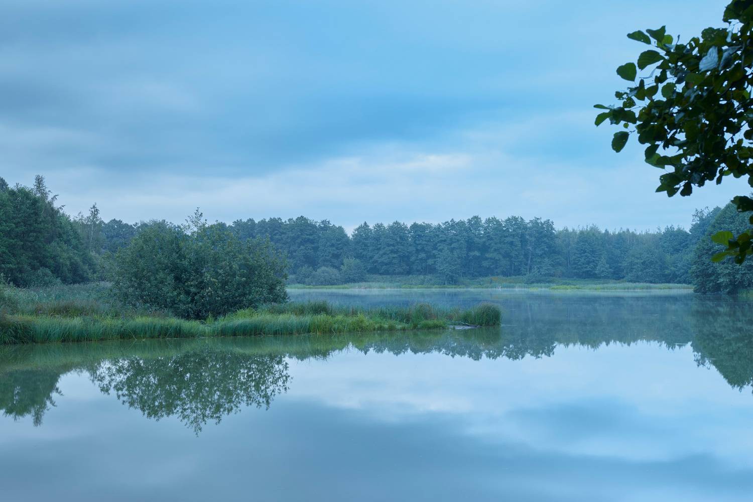 На лесном озере. Автор: Валерий Вождаев озеро, лес, деревья, Валерий Вождаев
