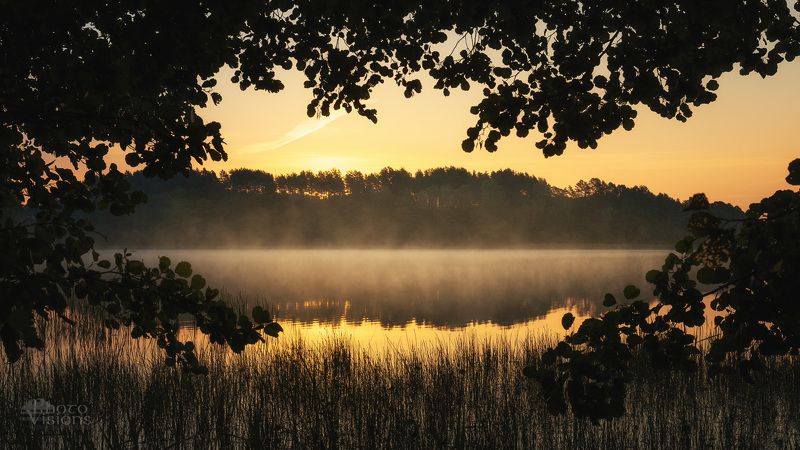 sunrise,rising sun,morning,landscape,trees,lake,lakeside,shoreline,forest,woodland,woods Window To Sunrise фото превью