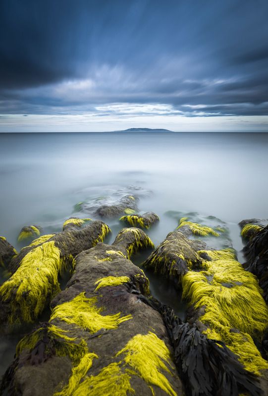 Ivaylo petrovphoto preview