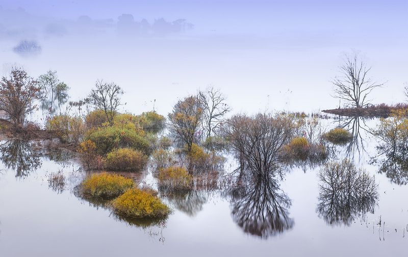 fall in koreaphoto preview