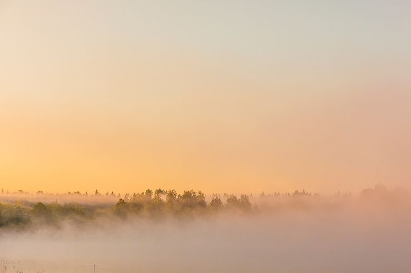 Пойма реки Яваньphoto preview