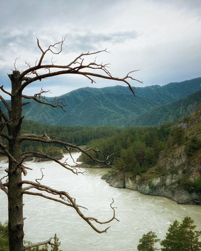 Катуньphoto preview