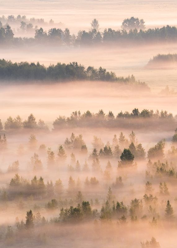 В первых лучах Хакасии…. In the first rays of Khakassia…photo preview