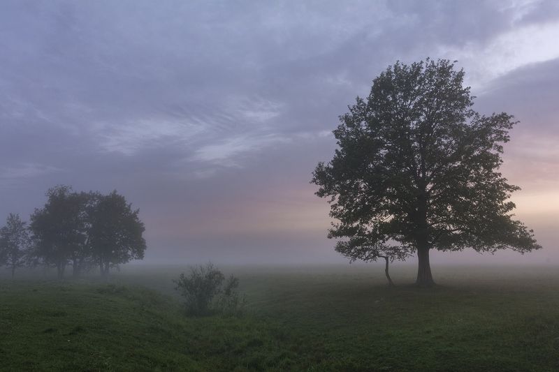 На рассветеphoto preview