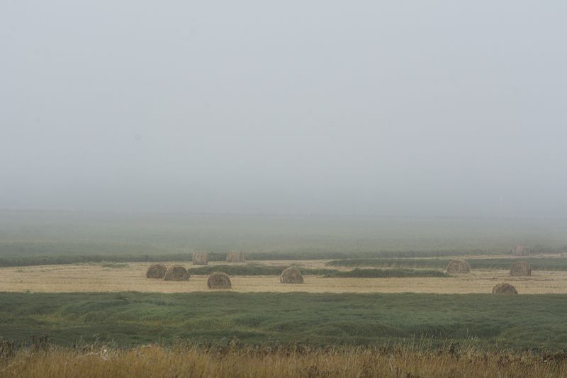 Полеphoto preview