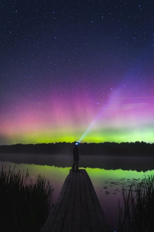 Волшебная ночьphoto preview