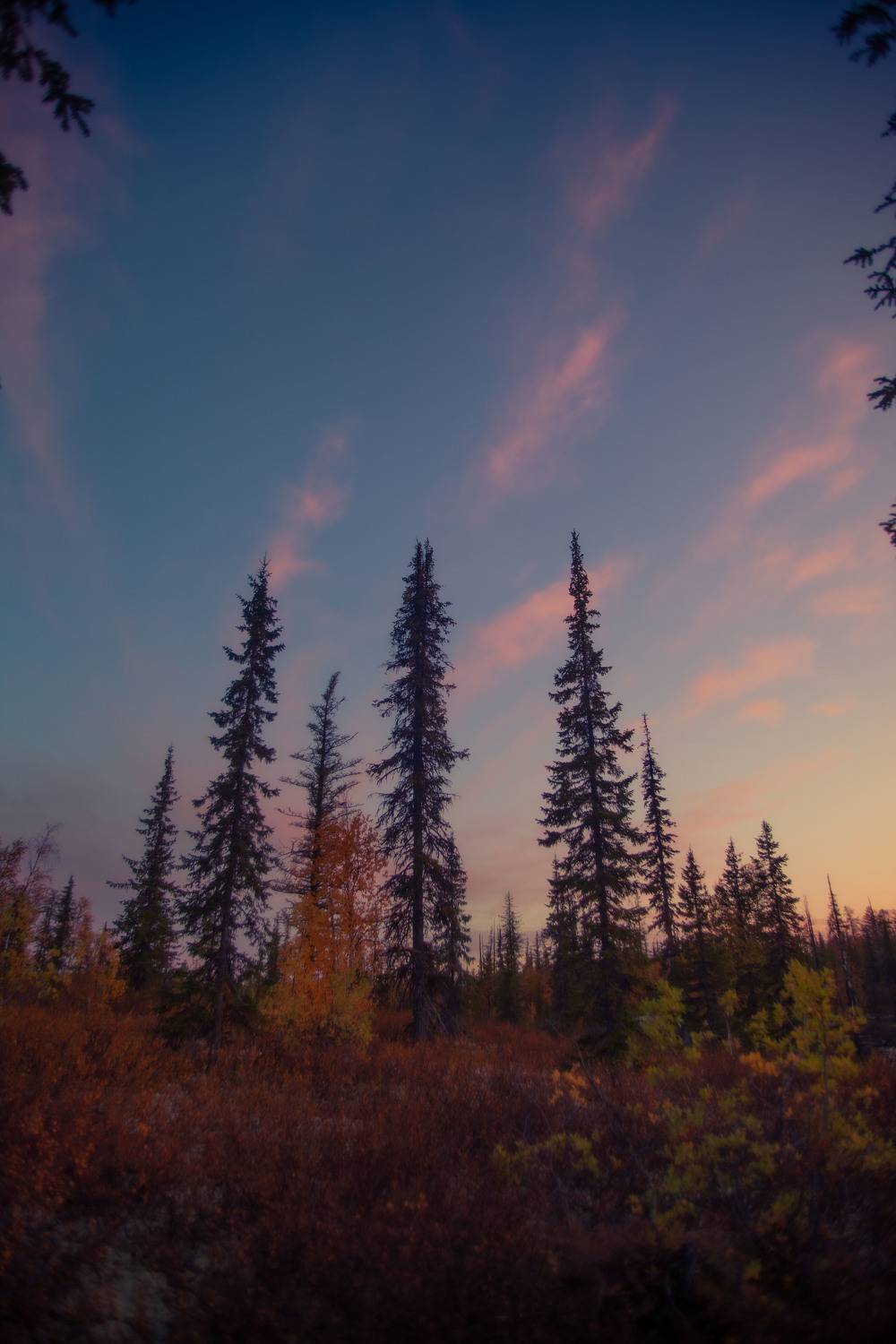 Путоранский закат. Автор: NIKIFOROVA KSENIA , NIKIFOROVA KSENIA