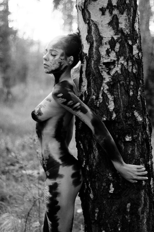 Березкаphoto preview