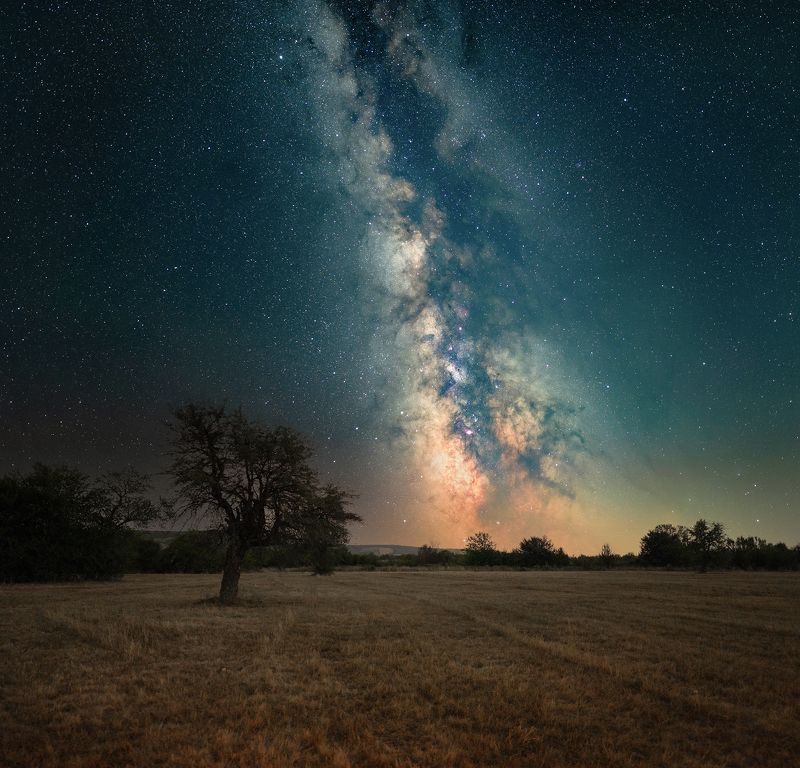 ceclii photo preview