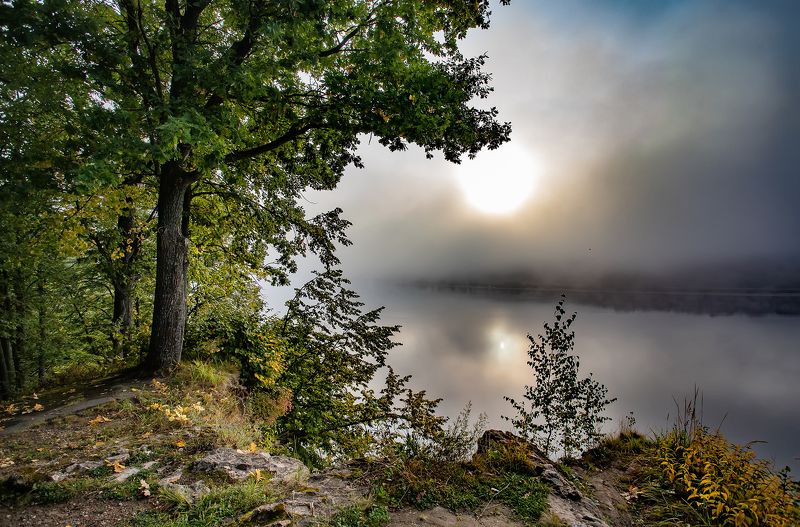 туман, река, волга, восход, берег, солнце, утро Туман и солнцеphoto preview