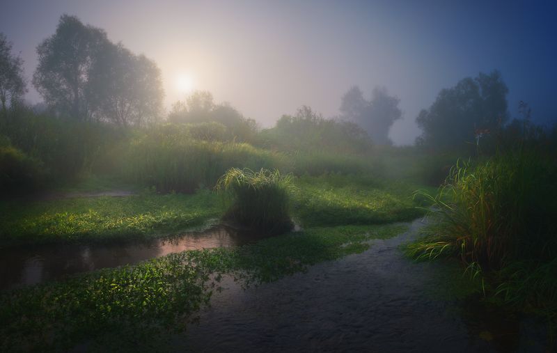 Утренняя зарисовкаphoto preview