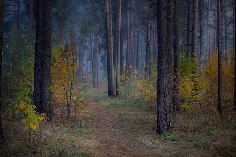 ********photo preview