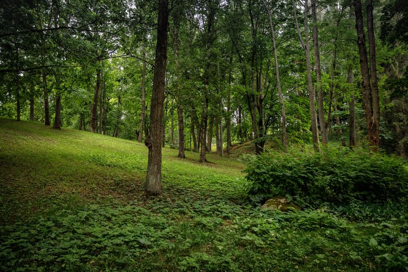 * * * фото превью