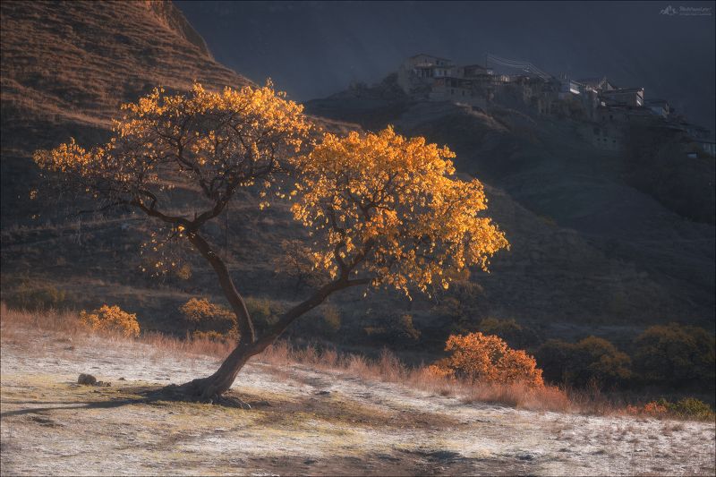 дагестан, аул чох, гуниб, осень, фототур в дагестан, пейзажи дагестана, дагестанские террасы,восьмое чудо света, фототуры по россии,  Игра на контрастеphoto preview