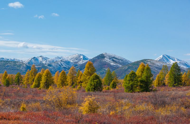 Краски осениphoto preview