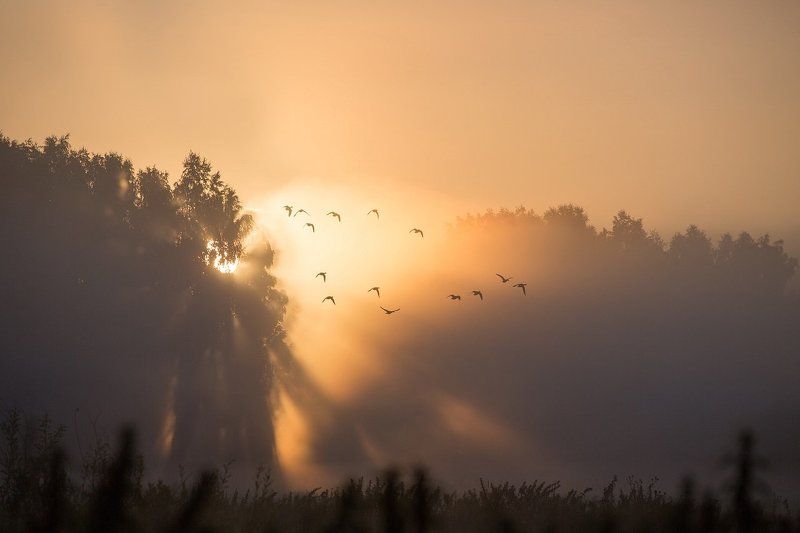 Анатолий, Belarus