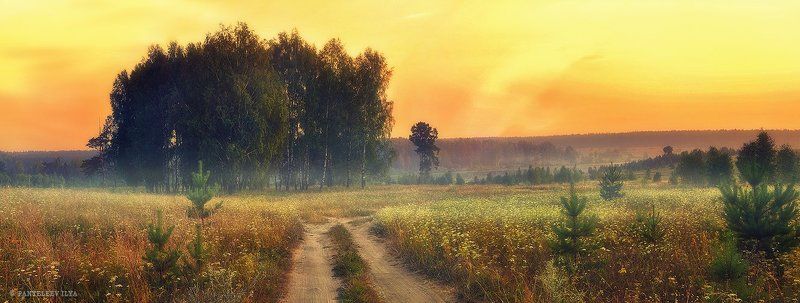 *** фото превью