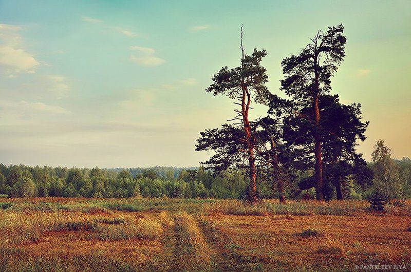 *** фото превью