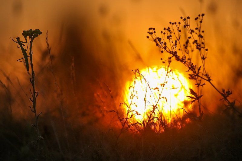 Прощай лето.photo preview