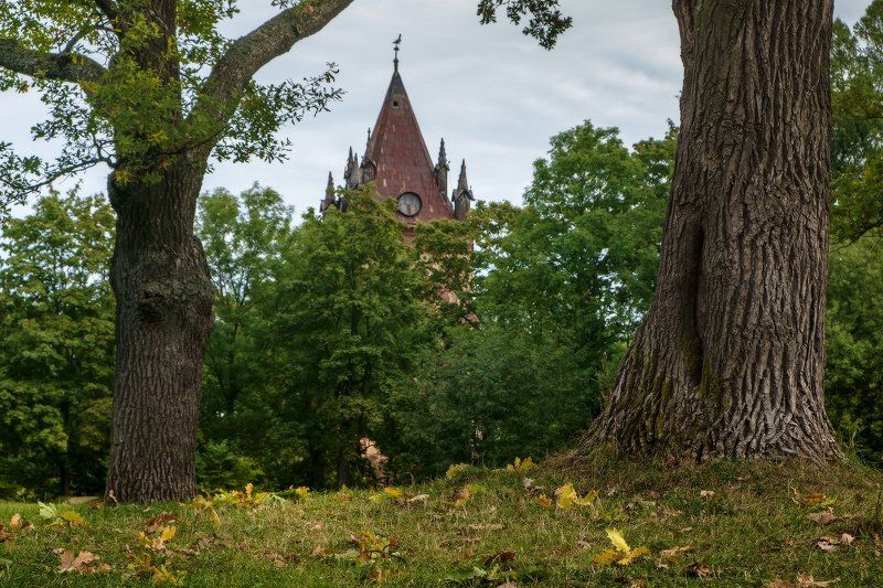 пушкин, царское, село, осень, александровский, екатерининский, парк про то, как начинается Осень...photo preview