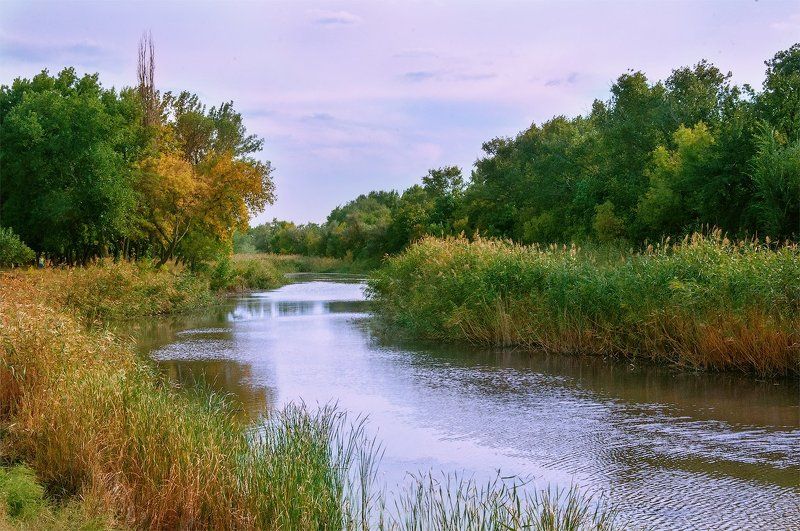 Закат, Камыш, Осень, Речка ***photo preview