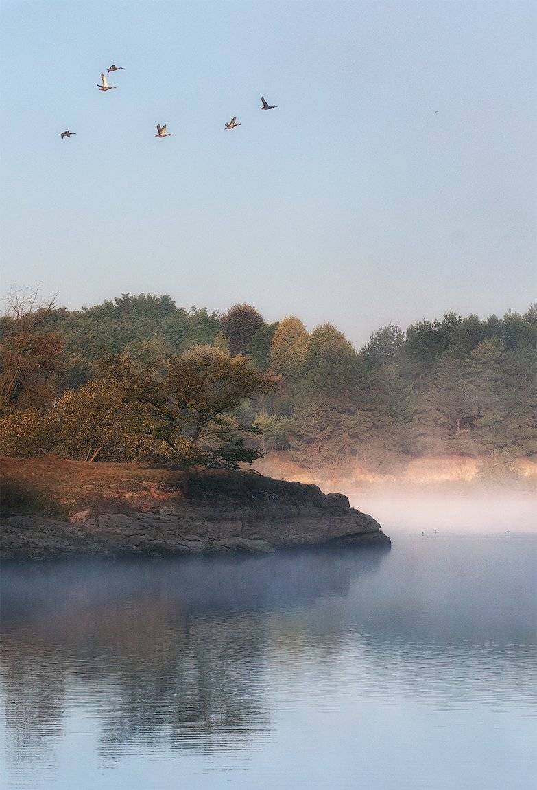 Симфония сентября. Автор: flyman осень, река, сентябрь, туман, flyman