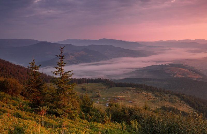 . . . фото превью