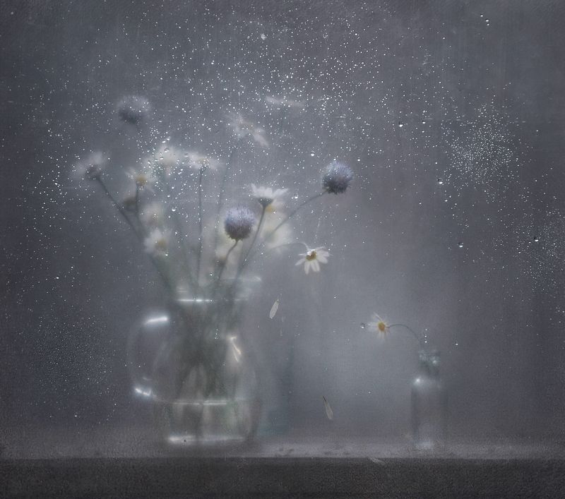 Остывшая нежностьphoto preview